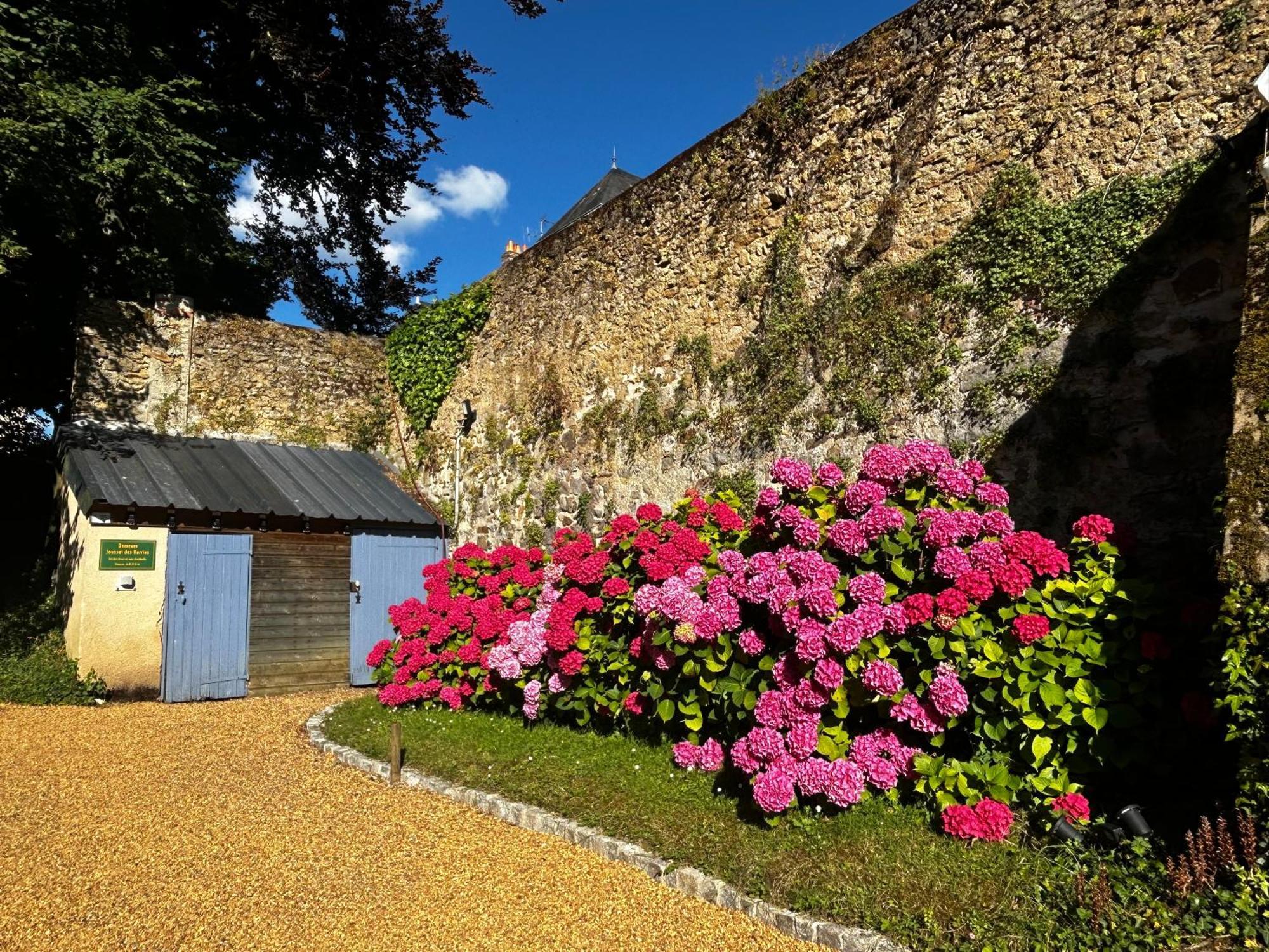 Demeure Jousset Des Berries Apartment Le Mans Luaran gambar